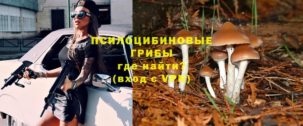 PSILOCYBIN Верея