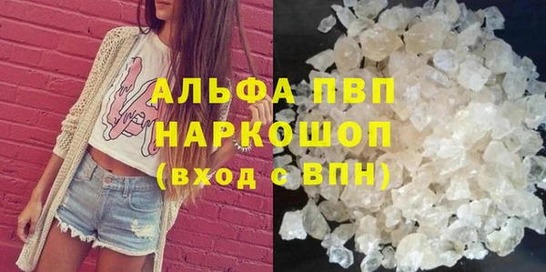 PSILOCYBIN Верея